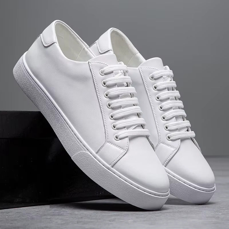 Avani Leather Sneakers